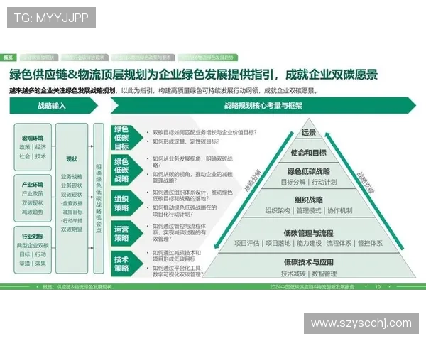 物流企业家如何在数字化转型中打造全球供应链竞争力并实现可持续发展